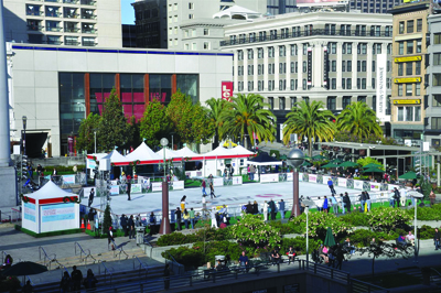 2010 ice rink